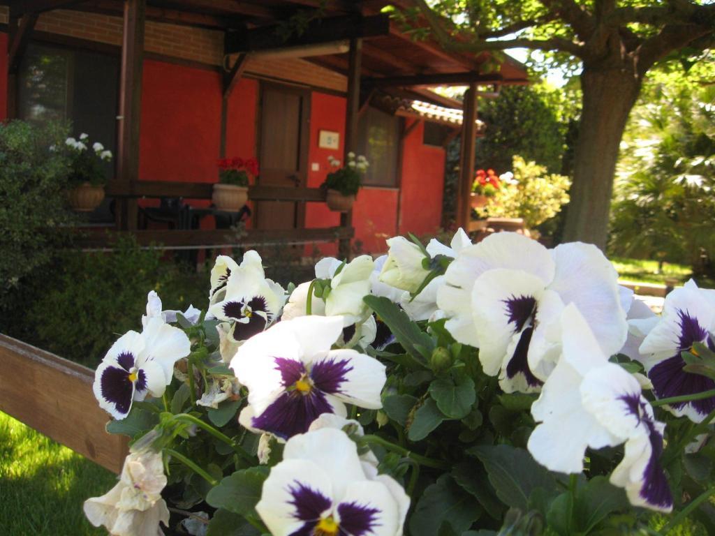 Country Apartments Castel di Decima Экстерьер фото